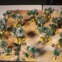 Arpenteurs du Désert : les arbres infectés (1)