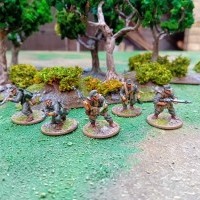 Vrill Division Westsector